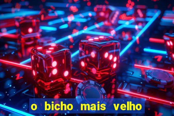 o bicho mais velho da loteria dos sonhos